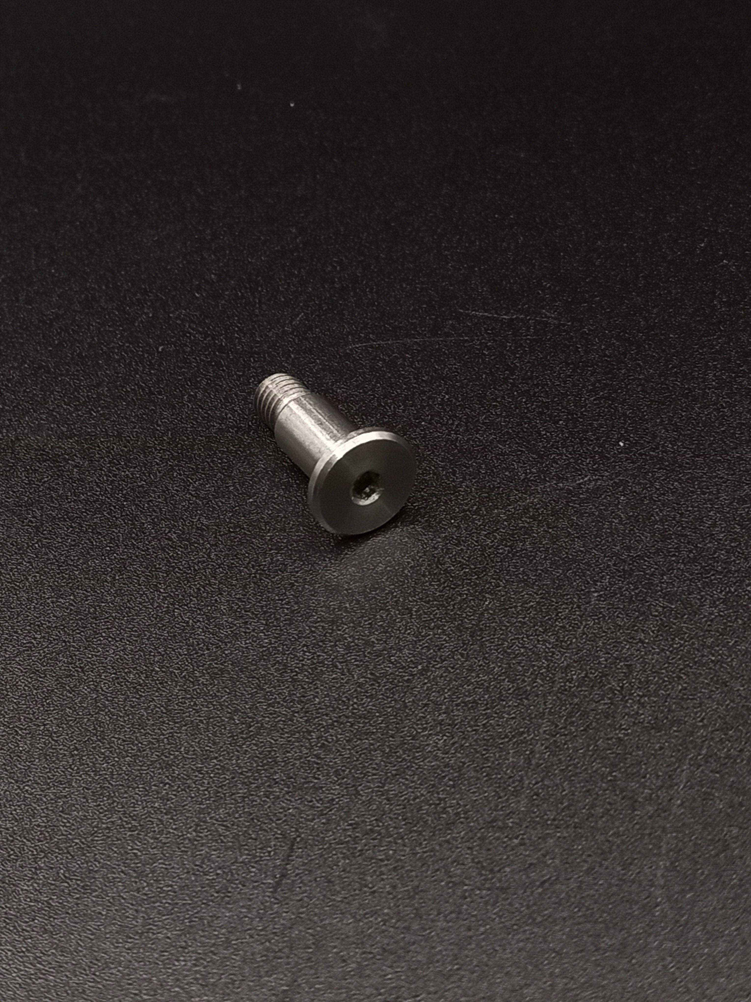 Pivot Pin – LionsBot EU